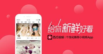 西瓜视频网页,短视频新潮流，轻松畅享精彩内容