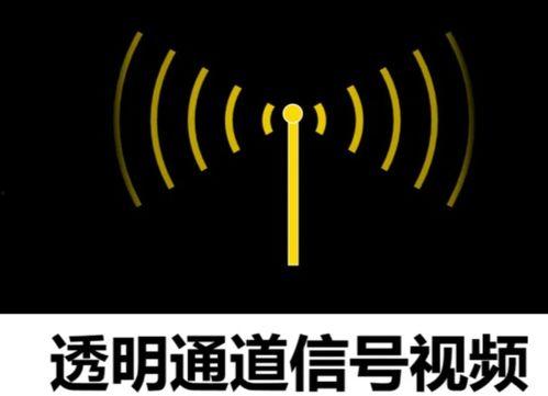 视频信号,视频信号背后的精彩故事