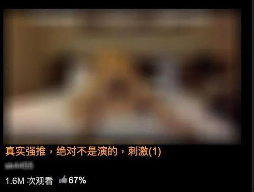 能看的黄色视频,内容解析与警示