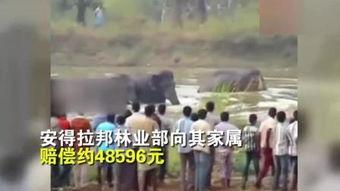 踩踏视频,踩踏事件现场惊悚瞬间回顾