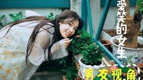 成年人小视频,娱乐与隐私的边界