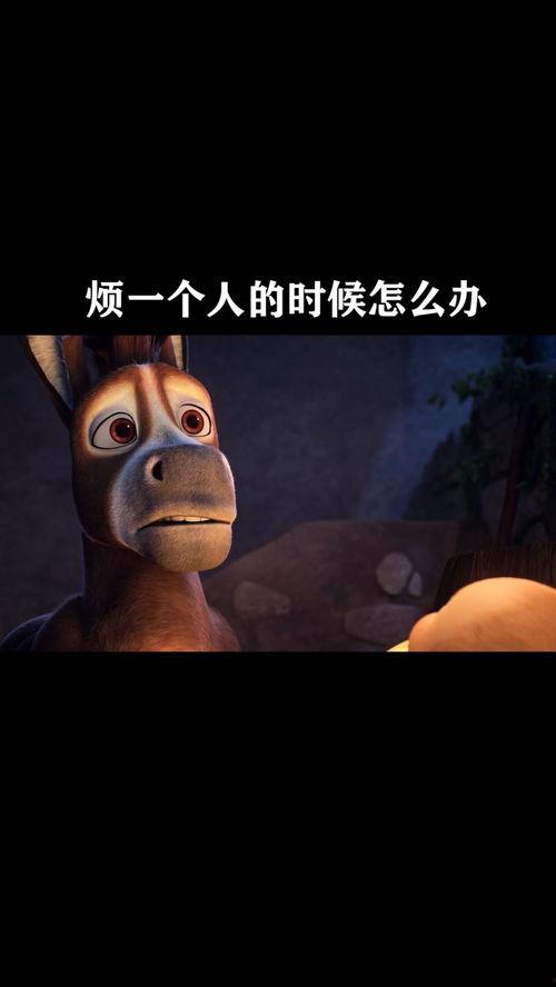 一个人的视频,视频中的生活剪影
