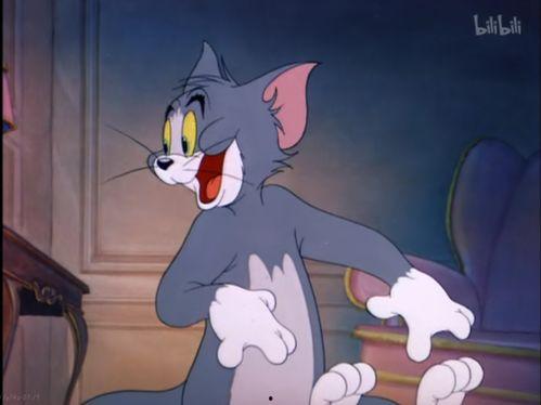 猫和老鼠视频,一场欢乐的追逐战