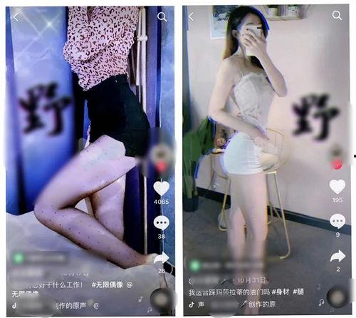 色婷婷在线视频,揭秘网络色情视频的黑暗面