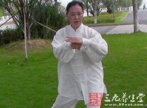 杨氏太极拳24式视频,经典动作解析与视频教程