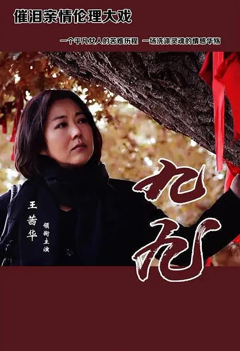 九九视频,探索无限视听世界的精彩瞬间