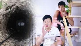 欧美性教育视频,全面解读性知识普及与观念更新