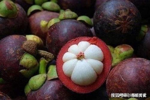 山竹视频,揭秘自然奇观背后的科学奥秘