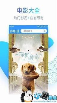 久久99视频,探索无限娱乐新境界