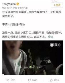 骂人视频,揭秘网络恶语相向的黑暗面