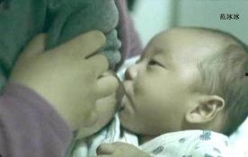 哺乳视频,捕捉哺乳动物温馨育儿瞬间